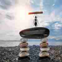 自‍动‌化‍专‌业‌用‌的​软‌件‌